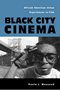 Paula J. Massood: Black City Cinema